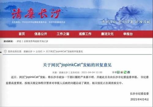 宁乡新闻爆料网最新报道,突发事件引发关注,详情即将揭晓! 第3张 宁乡新闻爆料网最新报道,突发事件引发关注,详情即将揭晓! 第3张